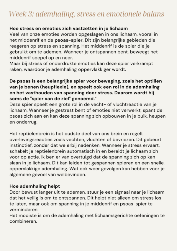 Adem werkboek - Afbeelding 3